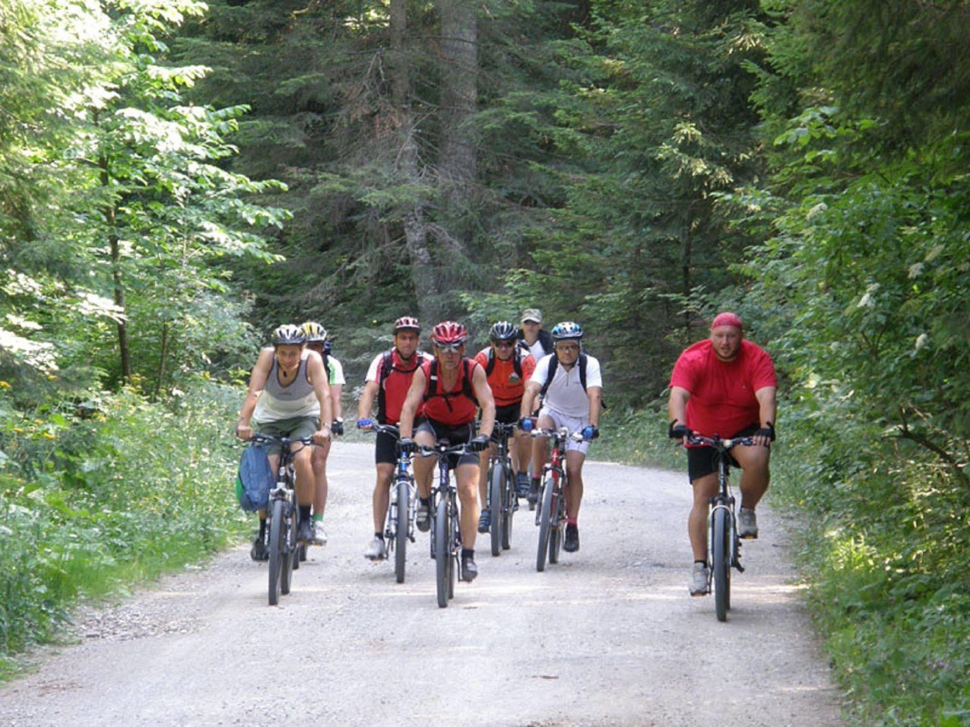 Pansion Bijela Ruza - A La Carte Hotel Ravna Gora